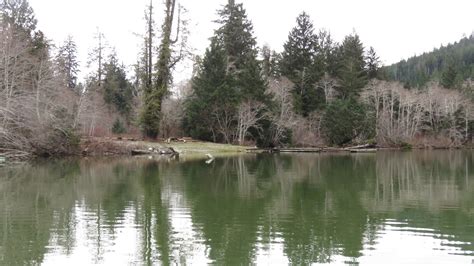 Nitinat Lake Vancouver Island British Columbia