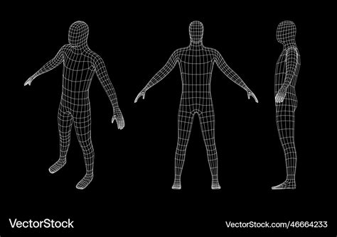 Man Body Grid Human Wireframe 3d Model Polygonal Vector Image