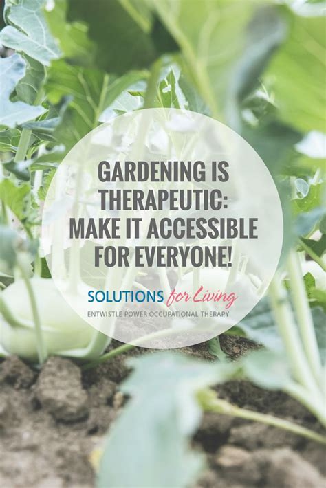 Gardening Is Therapeutic—make It Accessible For Everyone Solutions