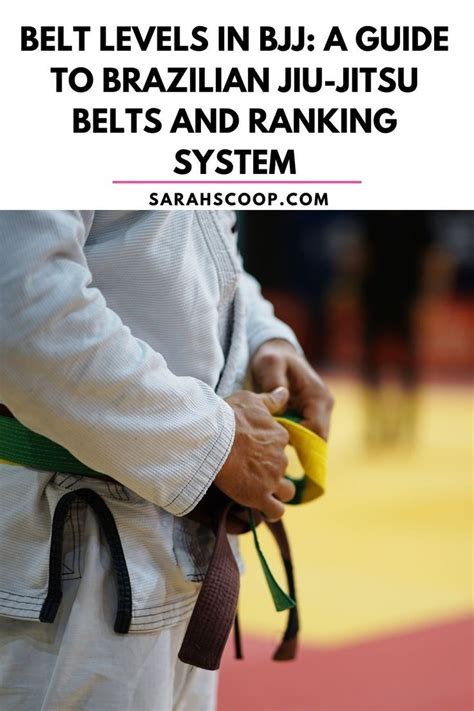 Belt Levels In Bjj A Guide To Brazilian Jiu Jitsu Belts And Ranking