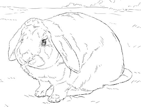 Dibujos De Conejo 1 Para Colorear Para Colorear Pintar E Imprimir