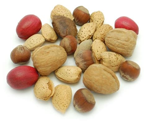 In Shell Deluxe Mixed Nuts Bulk Bag 00522