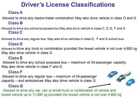 regular drivers license class c listcaptain