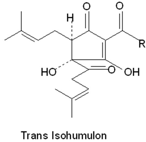 A bitter crystalline antibiotic c26h38o4 that is obtained from lupulin and is effective against fungi and various bacteria. Abb. 2: Die Stereoisomere der Isohumulone