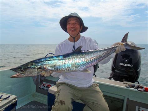 Feel free to ask for translations; Narrow-Barred Spanish Mackerel - Sport Fishing Asia