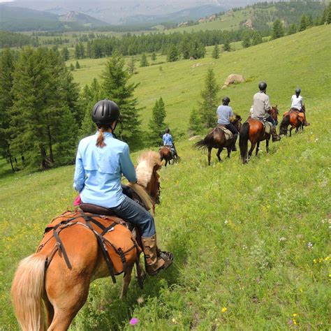 Gorkhi Terelj National Park Horse Riding Tour And Expedition