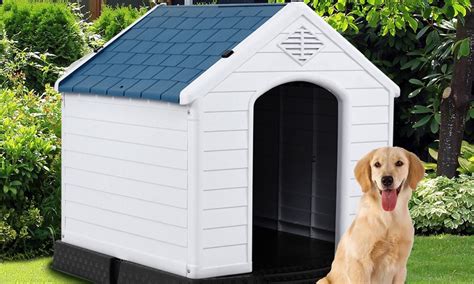 How To Insulate A Plastic Dog House Dog Guide Reviews
