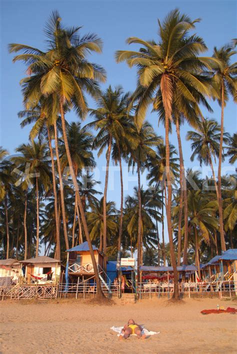 Palm Lined Beach Palolem Photography Art Prints And Posters By