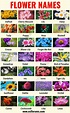 Types Of Flowers With Pictures