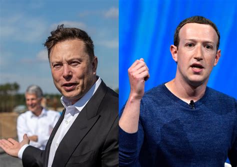 Elon Musk vs Mark Zuckerberg: Who would win a fight between tech titans