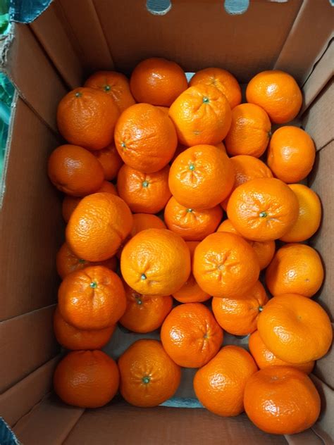 Very mild taste, but the larger versions of the satsuma are fasty. Satsumas x 6