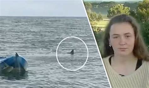 Horror As Teenage Girl In Jaws Like Shark Attack In Australia World News Uk