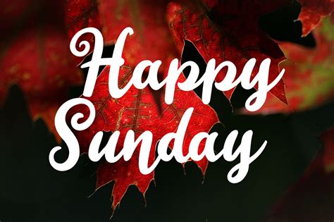 Happy Sunday Free Font — Discounted Design Bundles