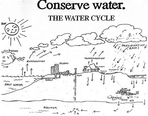 12 Best Images Of Water Cycle Blank Worksheet Water Cycle 6th Grade