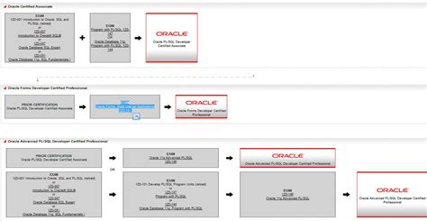 My Experiences With Code Oracle Certification Path