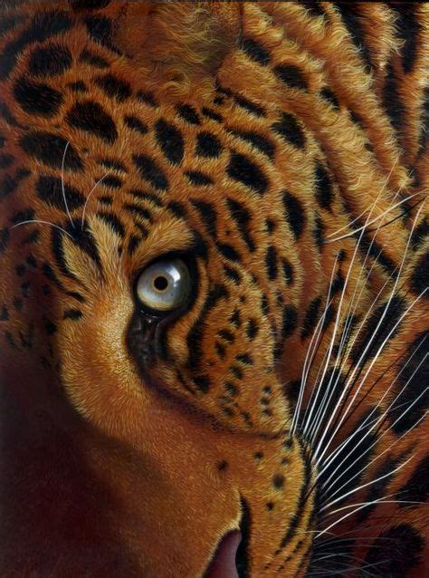 15 Best Fabulous Wildlife Paintings Images Wildlife Paintings