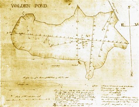 Henry David Thoreau Walden Pond Manuscript Survey Ink On Paper