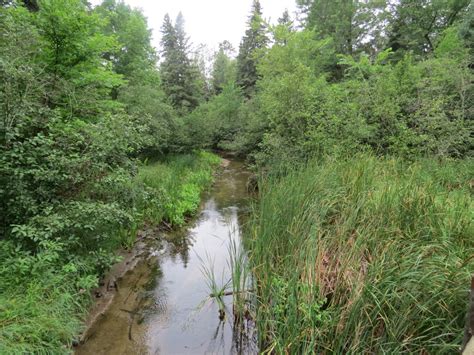 Do you know the name for this graph? How did Itasca get its name? | A Boy Who Cried Heron