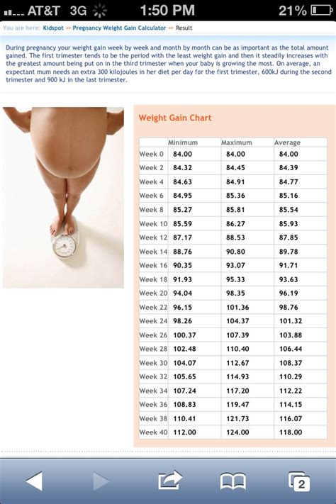 How many extra calories should you eat for two? My future pregnancy weight gain chart for my size. This ...