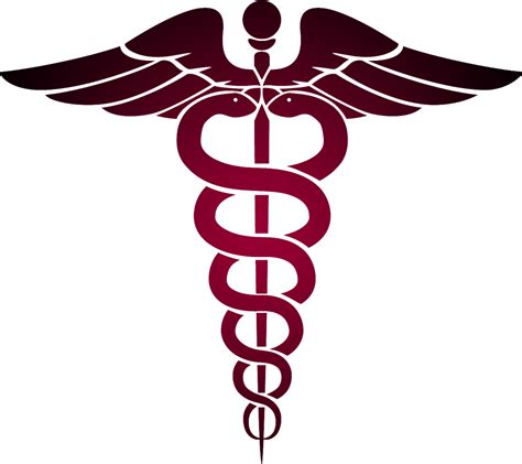 Physicians Medical Snake 1024x910 Png Clipart Download