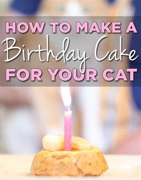 Maybe you would like to learn more about one of these? How To Make A Birthday Cake For Your Cat
