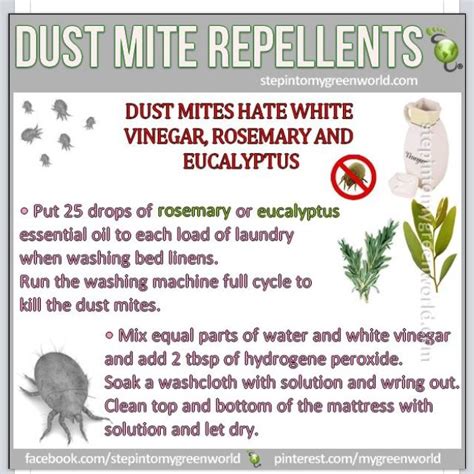 Natural Dust Mite Repellent Dust Mite Spray Allergy Cleaning