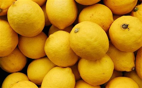 Download Wallpapers Lemons Citruses Yellow Lemons Background Lemon