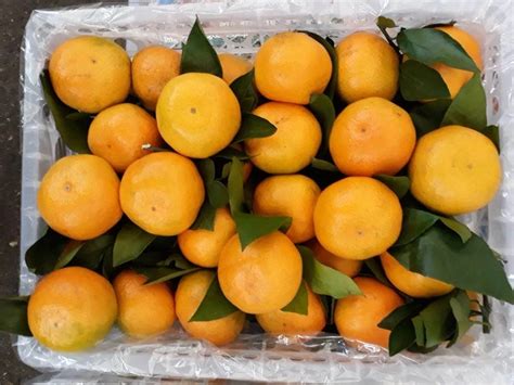 Fresh Mandarin Orange Fruitnanfeng Baby Mandarin Orange Buy Mandarin