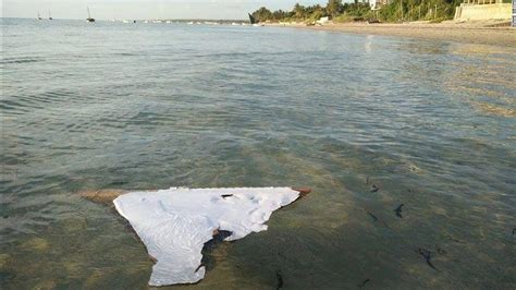 Mh370 Likely Piece Of Doomed Plane Found