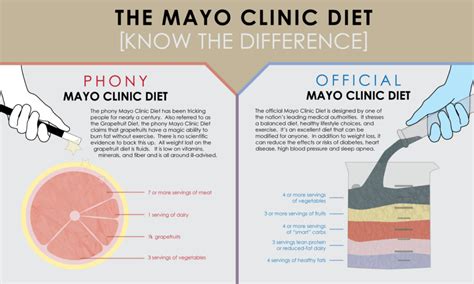 Doctors Opinion The 9 Most Effective Diets