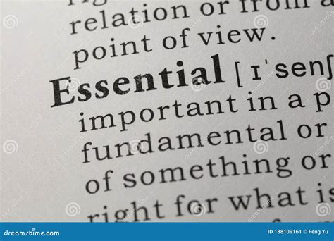 Definition Of Essential Stock Image Image Of Text Word 188109161