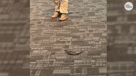 Small Snake Slithers Through Airport Baggage Claim Scaring Passengers
