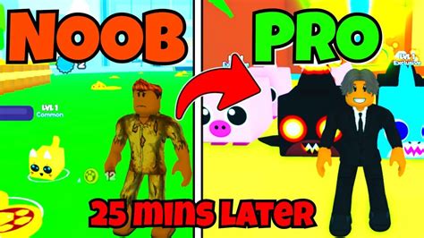 Ultimate Noob To Pro Guide Pet Posse Rolbox Part 1 Youtube