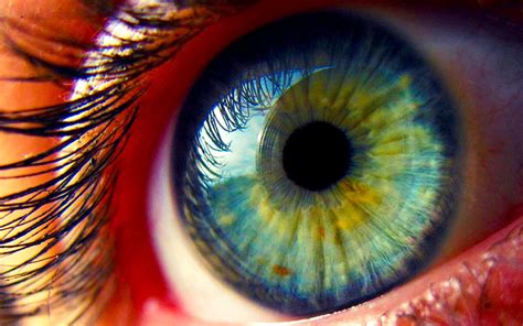 1920x1080px Free Download Hd Wallpaper Blue And Yellow Eyelid
