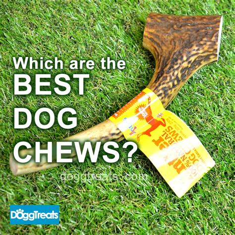 Which Are The Best Dog Chews For My Dog Doggtreats Dog News And
