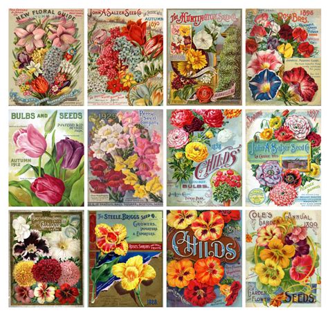 Wall Calendar 2023 12 Pages 8x11 Flowers Etsy