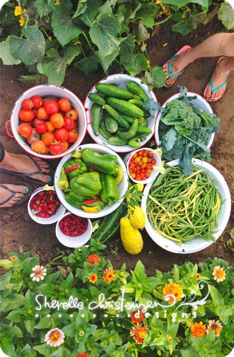 11 Ideas To Help Your Garden Grow Veggie Garden Garden Farmer Wife