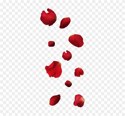Free Falling Petals Png Rose Full Size Png Clipart Images Download