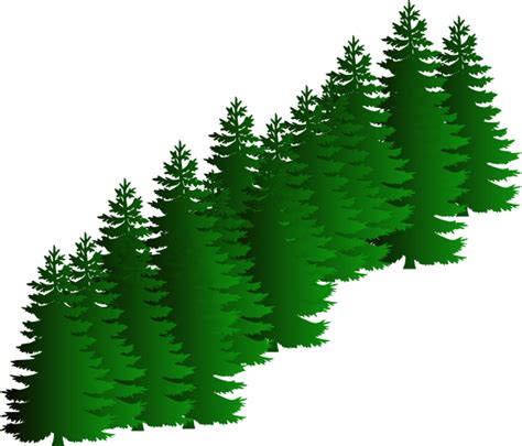 Evergreen Tree Images Free Download On Clipartmag