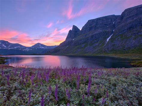 Norvège Nature Paysage Lac Montagnes Fleurs Lever De Soleil Fonds D