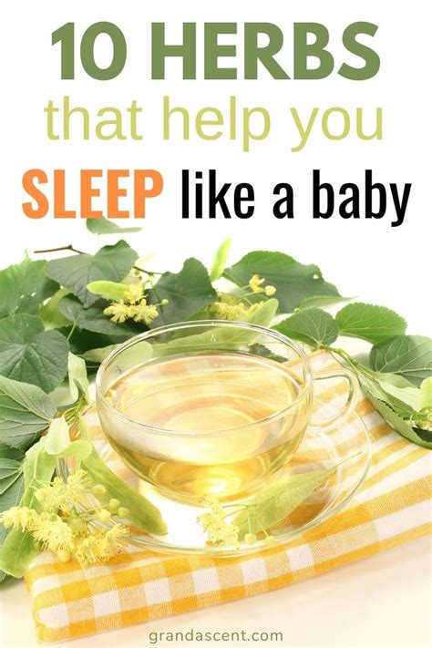 10 Best Herbs For Sleep Grand Ascent Herbs For Sleep Natural