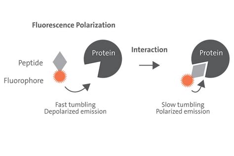 Fluorescence Absorbance Luminescence Plate Reader Infinite 200 Pro