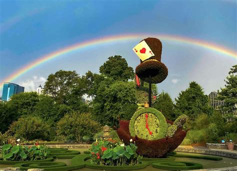 Atlanta Botanical Garden Debuts Alice In Wonderland Themed Exhibit