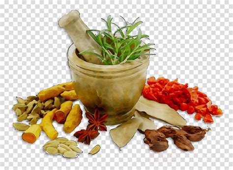 Ayurveda Images Png 20 Free Cliparts Download Images On Clipground 2024