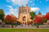5 curiosidades que você precisa saber sobre a universidade de Yale ...