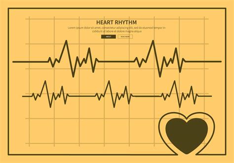 Free Heart Rhythm Illustration 161618 Vector Art At Vecteezy