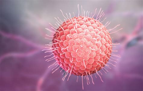 Decoding The Architecture Of The Varicella Zoster Virus Transcriptome