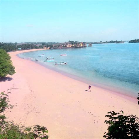 Tangsi Beach With Color Of Sand Is Pink Pink Beach East Lombok