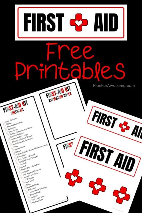 Diy First Aid Kit For Families With A Free Printable List Artofit