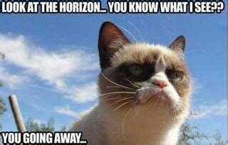 Trending images, videos and gifs related to farewell! Farewell, goodbye | Funny grumpy cat memes, Grumpy cat ...